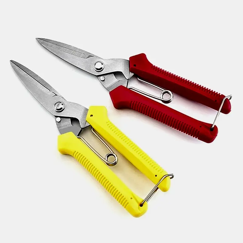 Сад прямой личинка